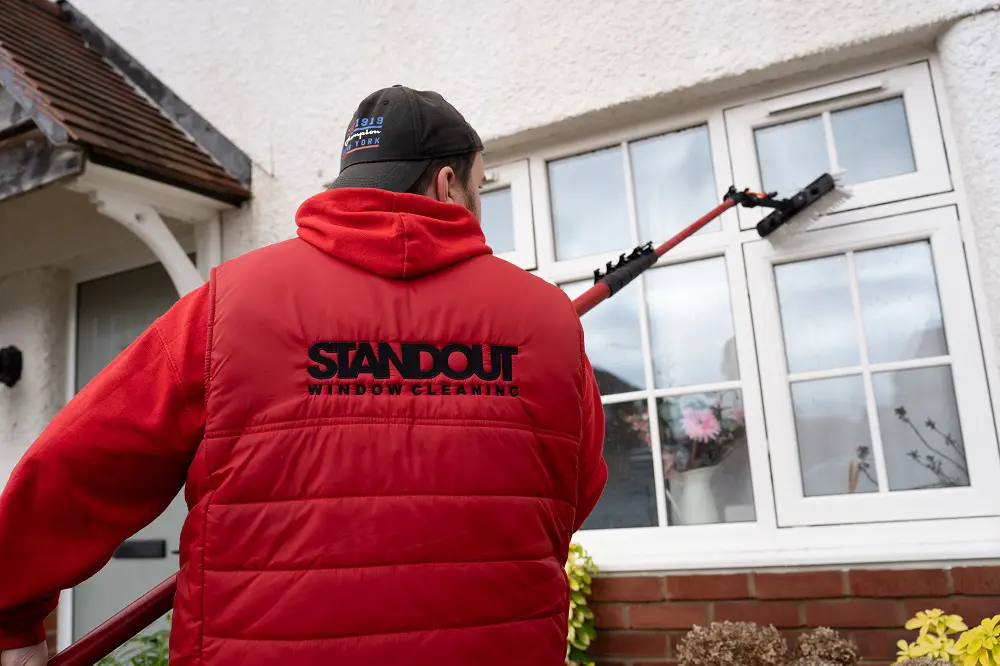 Window Cleaning Services